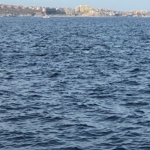 Meet your Posher, Grettchen